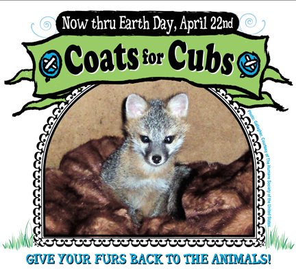 Microsoft Word - 2006 CoatsForCubs flier.doc